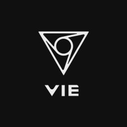 VIE STYLE logo