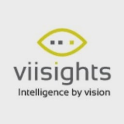 viisights logo