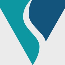 Viseon logo