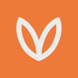 Voicy logo