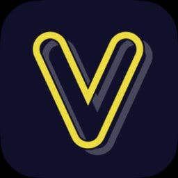 Volley logo
