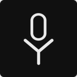 Voysis logo