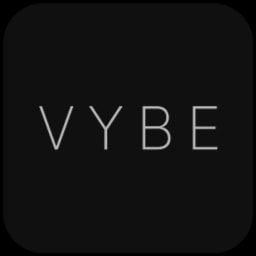 Vybe Network logo