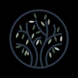 VYL logo