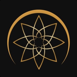 VyomIC logo