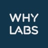 WhyLabs logo