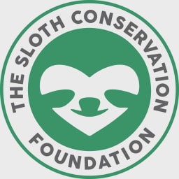 Wild Sloths logo