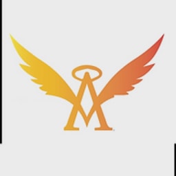 Wise Angels logo