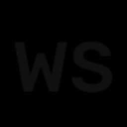 Wiski Capital logo