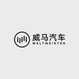 WM Motor logo