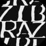 Zibra AI logo