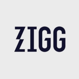 Zigg Capital logo