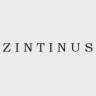 Zintinus logo