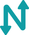Netmaker logo