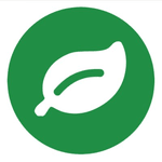 Rainforest logo