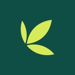 Bamboo logo