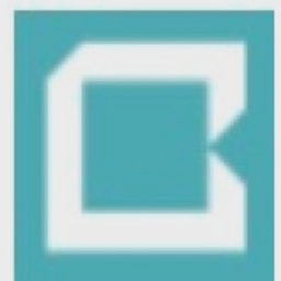 Bastion Square Partners Inc. logo
