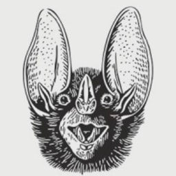 Batshit Crazy Ventures logo