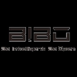 Bibost Automotive Electronics logo