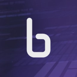 Binarly logo