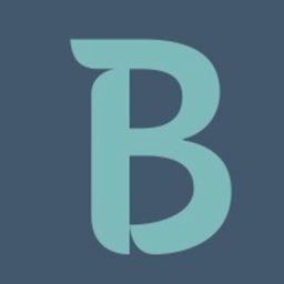 Blockskye logo