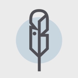 Bluebird Ventures logo