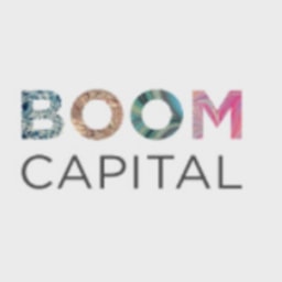 Boom Capital Ventures logo