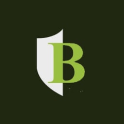 Boutique Venture Partners logo