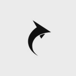Brand Capital Springboard logo