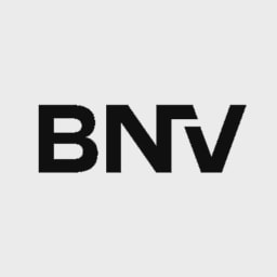 Brand New Vision logo