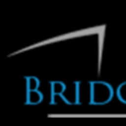 Bridge Venture Partners logo