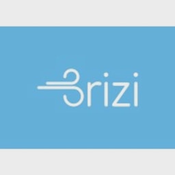 Brizi logo
