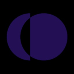 candidate.fyi logo