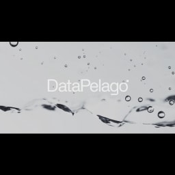 DataPelago logo