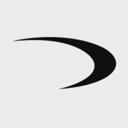 Daylight Security logo