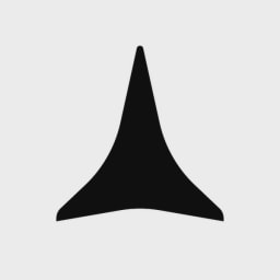 DhiWise logo