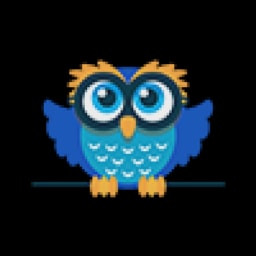 Digital owl logo