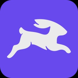 Directus logo