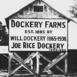 Dockery Farms Foundation logo