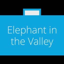 Elephant in the Valley logo