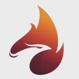 Feenix Ventures logo