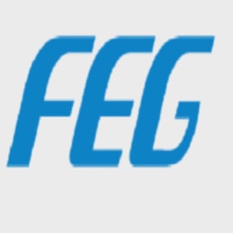 FEG logo