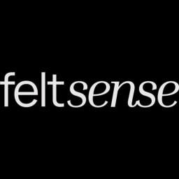 Feltsense logo