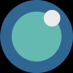 FloVision Solutions logo