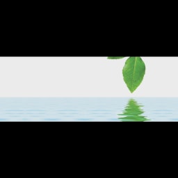 GreenMark Biomedical logo