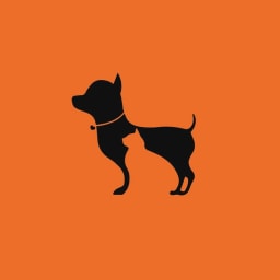 Heads Up For Tails logo