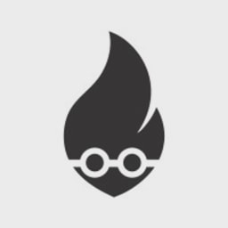 Heat Geek logo
