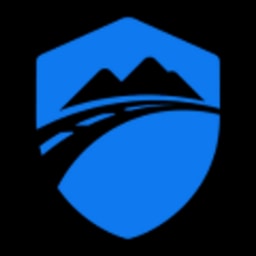 Idelic logo