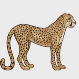 Intuition Capital logo