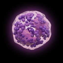 iOrganBio logo